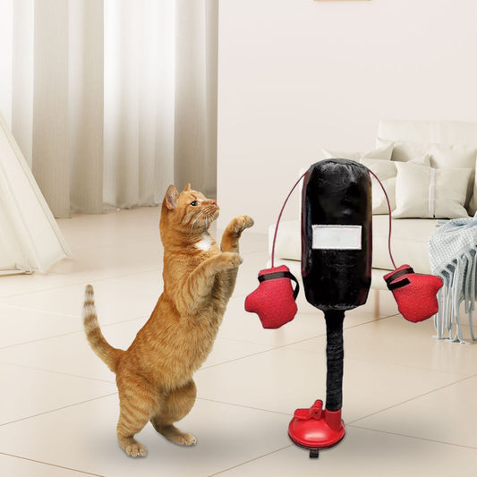 Multifunctional Cat-Teasing Boxing Toy