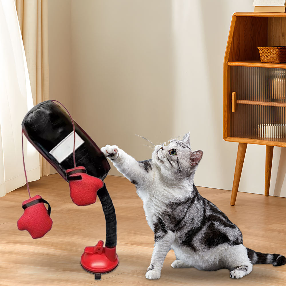 Multifunctional Cat-Teasing Boxing Toy