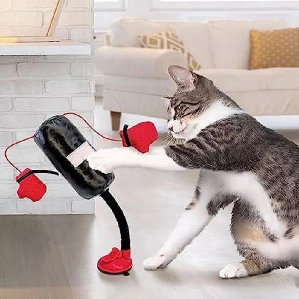 Multifunctional Cat-Teasing Boxing Toy